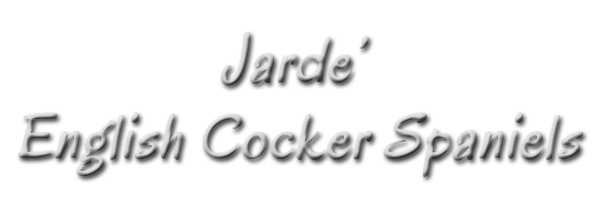 Site Title "Jarde' English Cocker Spaniels"