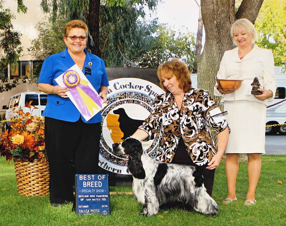 Travis Best of Breed Nor Cal Specialty